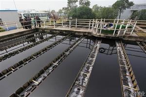 ��피��F(tu��n)��(�Ї����)�ٷ��W(w��ng)վ